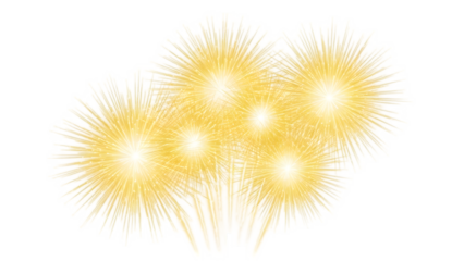 Yellow dandelion flowers isolated on transparent background with bright sunny lighting