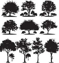 Silhouettes Set of Cherry Blossom trees