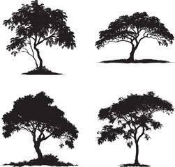 Tamarind tree silhouette vector illustration