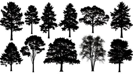 different tree black silhouette collection  isolated on transparent background