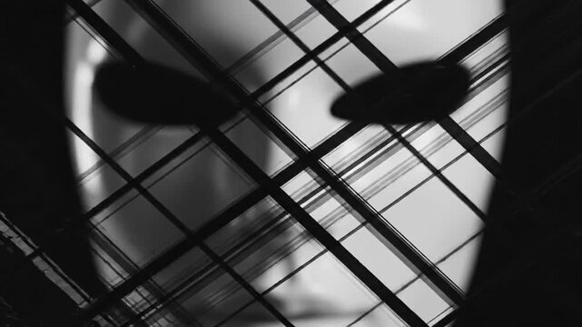 Abstract Black and White Geometric Patterns with Masked Face Elements.