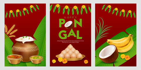 A beautifully illustrated Pongal festival vector set featuring three separate panels with traditional elements like a clay pot filled with sweet pongal, coconut halves, ripe bananas, banana leaves.