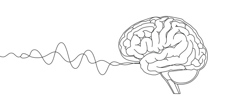Outline of a human brain connected to a brainwave or signal line, concept of thought, intelligence, or neurology