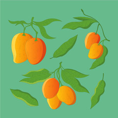 Vibrant mango fruit clusters with lush green leaves illustrated against a solid teal background pattern