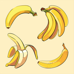 Collection of stylized yellow bananas showing different stages from whole to partially peeled fruit illustrations