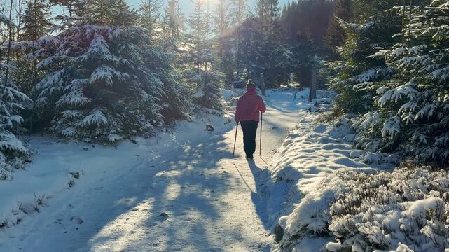 A woman hiking a winter mountain forest