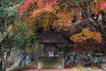 京都府大原秋深し祠のほとり