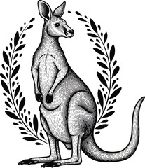 Kangaroo Wildlife Vector Illustration