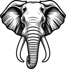 Elephant Head Front View Vector Illustration