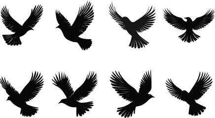 Fototapeta premium Bird flying with wings spread freedom symbol set Silhouette Vector 