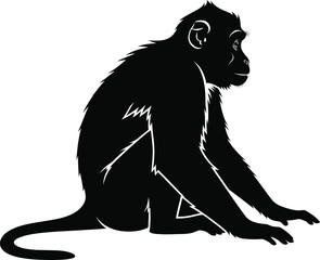 Fototapeta premium Monkey Sitting Wildlife Silhouette Vector