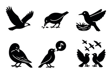 Silhouette collection of birds: various poses and activities