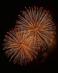 Obraz premium Beautiful firework display with bursts of light against a dark night sky.