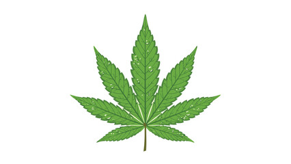A vibrant green cannabis leaf symbolizing nature and health