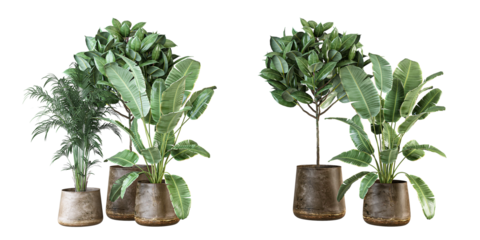 3d render Tropical Houseplants Collection: Indoor Greenery & Decorative Potted Plants
