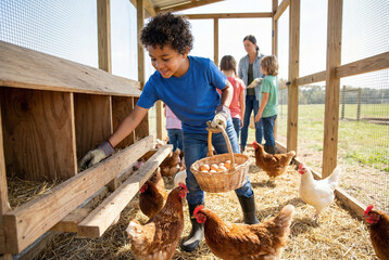 Ni&ntilde;o recogiendo huevos en un gallinero junto a otras personas durante una actividad educativa en una granja.