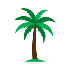 vector clip art palm tree on white background for web and graphic design