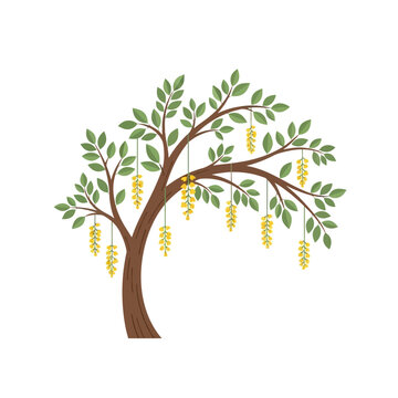 Stylized golden chain tree with delicate blossoms, illustration of nature's beauty, botanical