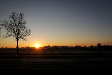 Sunny blue hour sunrise in nature meadow landscape. Frosty morning scenery in Netherlands. 