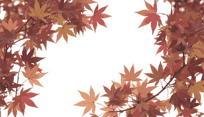 Delicate Branches of Autumn Leaves in a Soft Light Against a White Background, Evoking a Sense of Calm and Natural Beauty