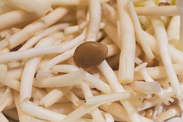 Fresh raw pioppini mushrooms background texture in restaurant.