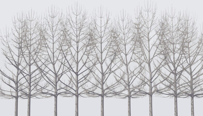 Ethereal minimalist illustration depicting a tranquil winter scene with a harmonious line of leafless trees under a soft, clear sky