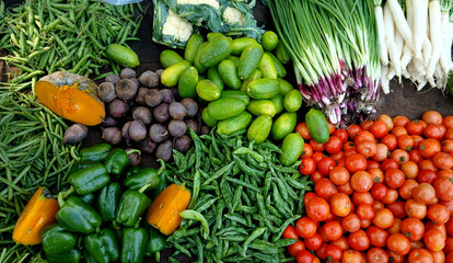 Fresh winter vegetables of India.