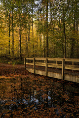 Fototapeta premium Wooden bridge over calm river in autumn forest. Fall nature scene with stream in scenic woods environment with fallen leaves in water. Vertical portrait photo.