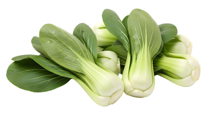 Obraz premium Fresh bok choy vegetable bunch isolated element on transparent background isolated on transparent background