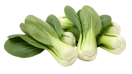 Fresh bok choy vegetable bunch isolated element on transparent background isolated on transparent background