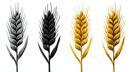Four simple vector icons depicting wheat in black and yellow on white background, minimalist flat design.
