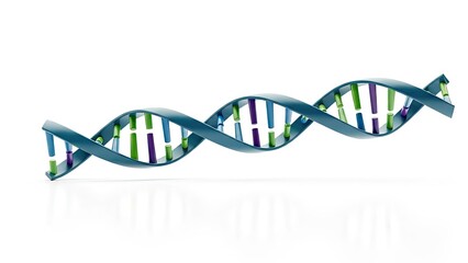 Blue 3D double helix DNA strand illustration on white background for medical science and biotechnology research