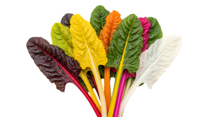 Colorful swiss chard leaves isolated element for design projects isolated on transparent background
