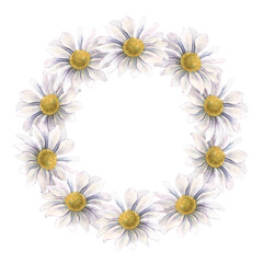 Obraz premium Wreath, white chrysanthemums. Hand-painted watercolor illustration isolated on white background for wedding invitations, printing, textile, branding, packaging, cards, botanical design projects.