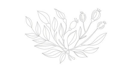 Fototapeta premium Elegant Botanical Line Art Drawing of Delicate Floral Arrangement.