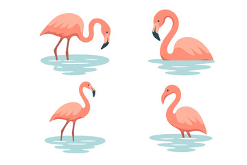 Fototapeta premium Flamingo Reflections. Icons for: a flamingo leaning over pale reflections, a curved neck bending toward glassy blue, a tall wader