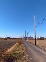 冬の田んぼの中の古い農道と電柱のある風景