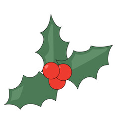 Holly Berry and Green Leaf. Christmas Winater Holiday Symbol. New year Celebration Party Mascot Icon. Icolated Red Berry and Green Holly Leaves Icon. 