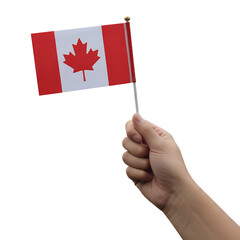 Person waving the flag of Canada on Isolated transparent background png. generated with AI 
