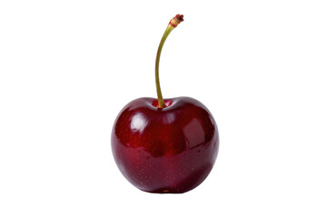 A single ripe dark red cherry with a stem