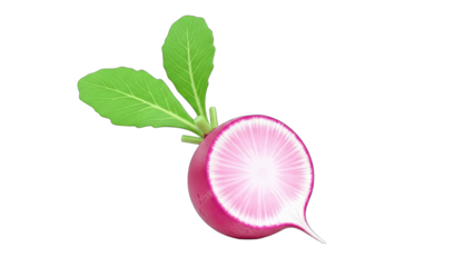 Freshly Cut Radish with Green Leaves on White Background