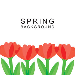 Spring banner with tulips and the inscription Spring Background.