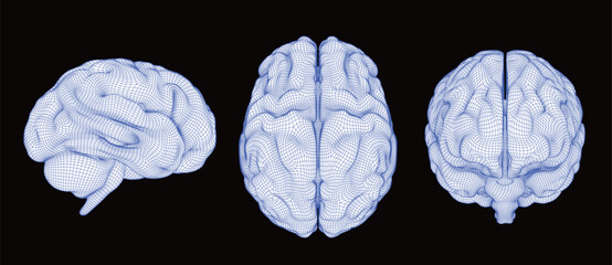 3D wireframe human brain set in blue neon grid lines. Digital artificial intelligence, neurology anatomy, and medical technology concept. Side, top, and front views isolated on black background.