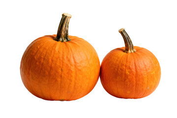 Obraz premium Two orange pumpkins with stem on white background