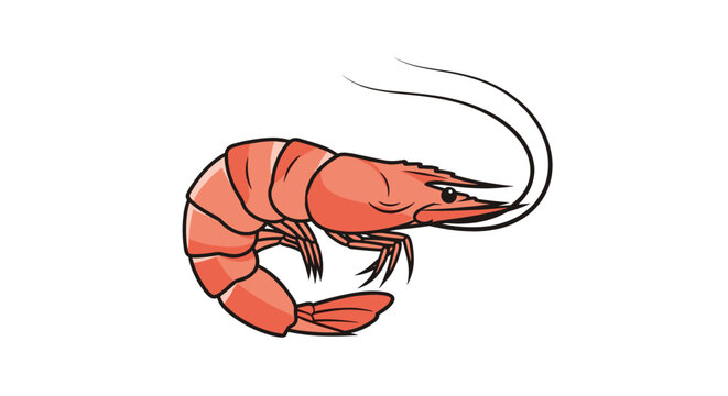 A close up of a pink shrimp with antennae and legs.