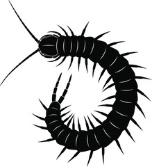 Centipede Silhouette Vector