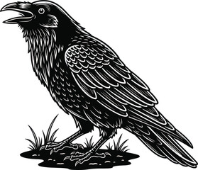 Detailed Raven Bird Vector