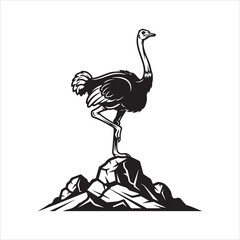 Beautiful ostrich bird vector design art