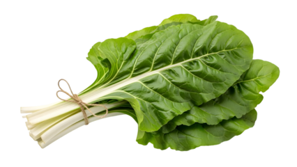 Fresh bunch of swiss chard isolated on transparent background