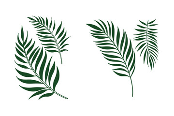 Fototapeta premium Double Green Leaf Botanical Illustration, Minimalist Nature Art Vector